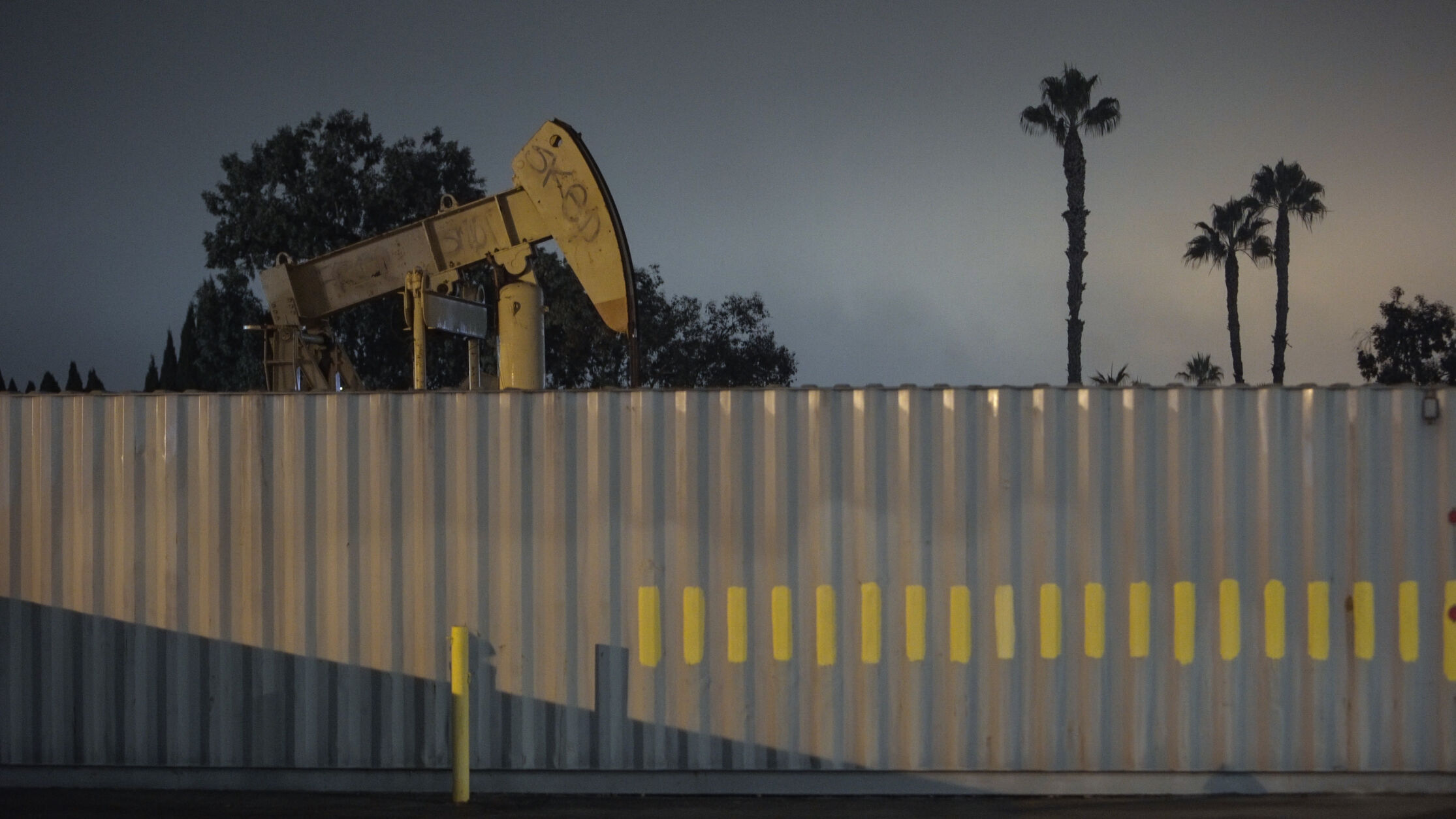 Işık Kaya & Thomas Georg Blank: "Crude Aesthetics", video still, 2021